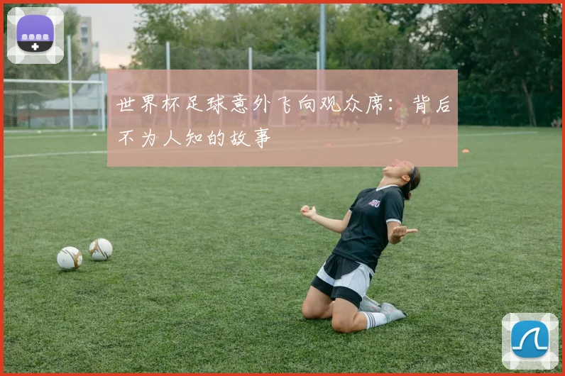 世界杯足球意外飞向观众席:背后不为人知的故事