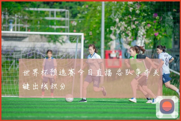 世界杯预选赛今日直播 各队争夺关键出线积分