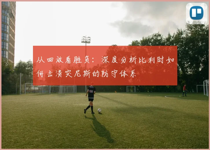 从回放看胜负：深度分析比利时如何击溃突尼斯的防守体系