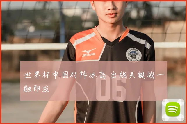 世界杯中国对阵冰岛 出线关键战一触即发