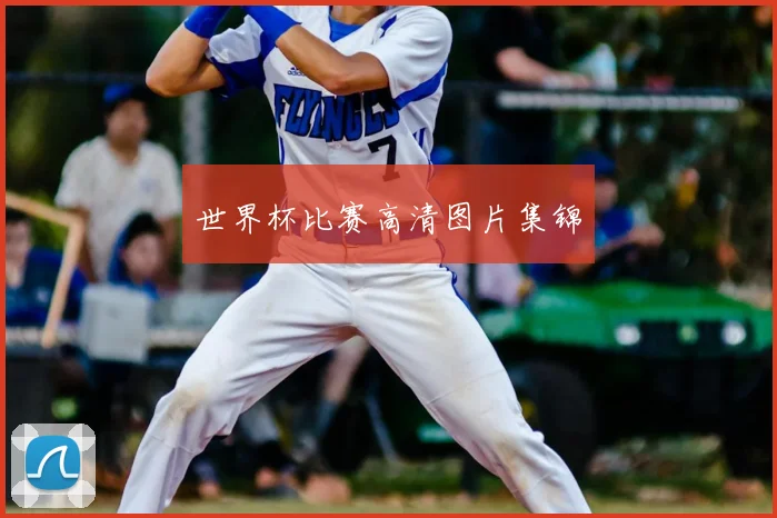 世界杯比赛高清图片集锦