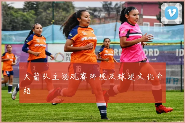 火箭队主场观赛环境及球迷文化介绍