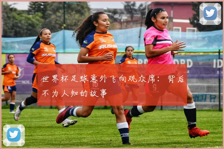世界杯足球意外飞向观众席:背后不为人知的故事