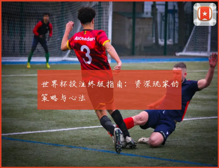 世界杯投注终极指南:资深玩家的策略与心法