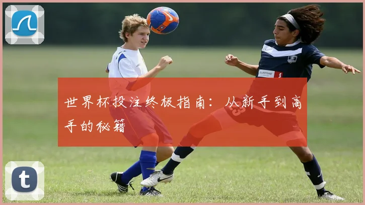 世界杯投注终极指南：从新手到高手的秘籍