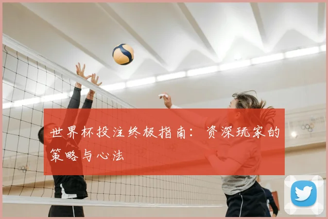 世界杯投注终极指南：资深玩家的策略与心法