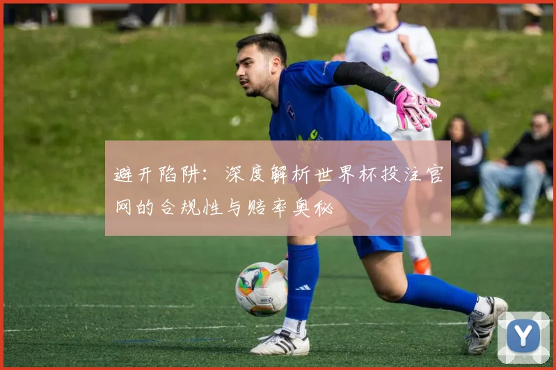 避开陷阱:深度解析世界杯投注官网的合规性与赔率奥秘