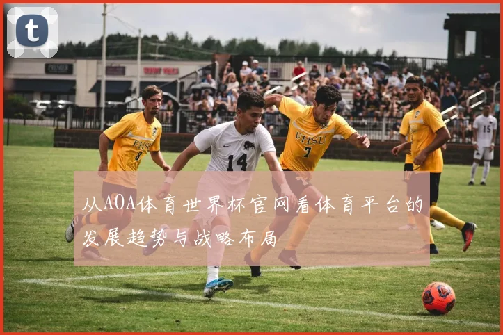 从AOA体育世界杯官网看体育平台的发展趋势与战略布局