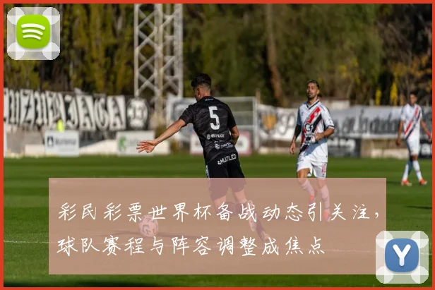 彩民彩票世界杯备战动态引关注，球队赛程与阵容调整成焦点