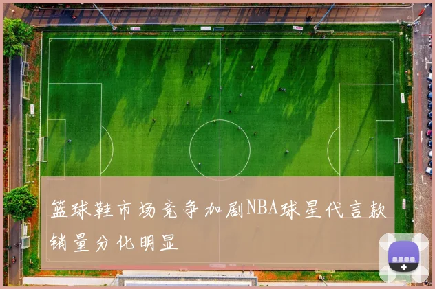 篮球鞋市场竞争加剧NBA球星代言款销量分化明显