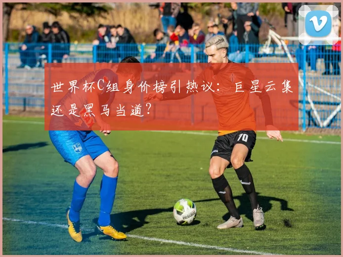 世界杯C组身价榜引热议:巨星云集还是黑马当道?