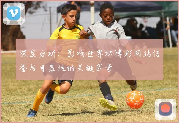 深度分析:影响世界杯博彩网站信誉与可靠性的关键因素
